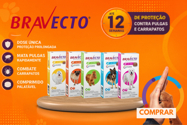 bravecto agosto